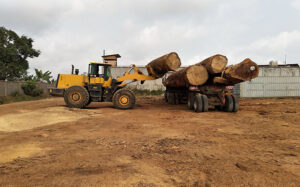 JNHTC Loaders Excel in Cameroon for Timber Yard and Forest Operations