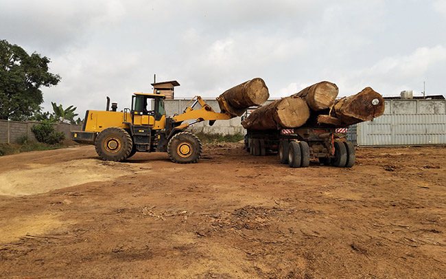 JNHTC Loaders Excel in Cameroon for Timber Yard and Forest Operations